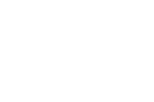 Property Adviser Logo